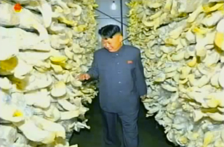 Illustration for article titled Turning North Korea into the Mushroom Kingdom